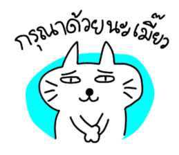 MEOW ChAT sticker #7347356