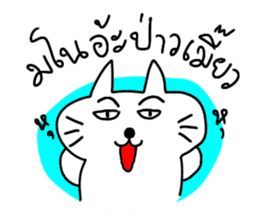 MEOW ChAT sticker #7347359