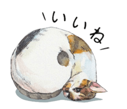 Hina of the cat. sticker #7347686