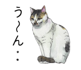Hina of the cat. sticker #7347689