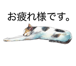 Hina of the cat. sticker #7347694