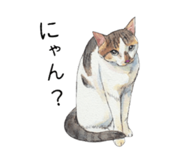 Hina of the cat. sticker #7347709