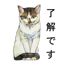 Hina of the cat. sticker #7347713