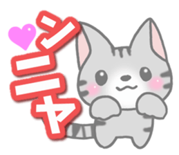 American Shorthair. Sticker of cat. sticker #7348044