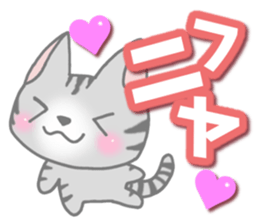 American Shorthair. Sticker of cat. sticker #7348046