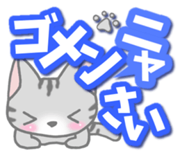 American Shorthair. Sticker of cat. sticker #7348047