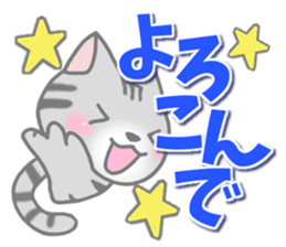 American Shorthair. Sticker of cat. sticker #7348051
