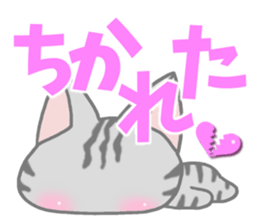 American Shorthair. Sticker of cat. sticker #7348052