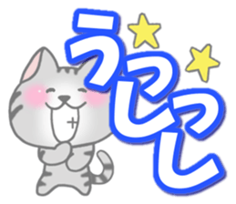 American Shorthair. Sticker of cat. sticker #7348055