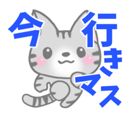 American Shorthair. Sticker of cat. sticker #7348057