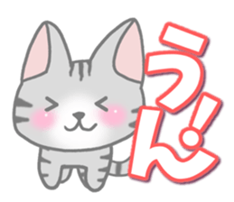 American Shorthair. Sticker of cat. sticker #7348062