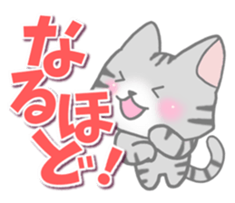 American Shorthair. Sticker of cat. sticker #7348063