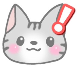 American Shorthair. Sticker of cat. sticker #7348064