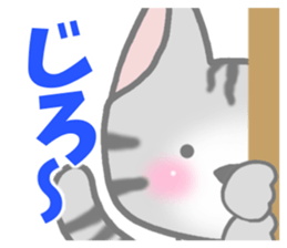 American Shorthair. Sticker of cat. sticker #7348070