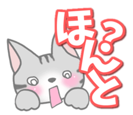 American Shorthair. Sticker of cat. sticker #7348073