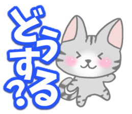 American Shorthair. Sticker of cat. sticker #7348079