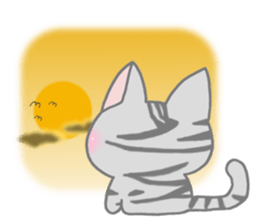 American Shorthair. Sticker of cat. sticker #7348080