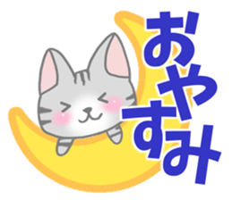 American Shorthair. Sticker of cat. sticker #7348083