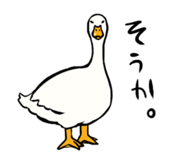 Mr. duck sticker part2 sticker #7352974