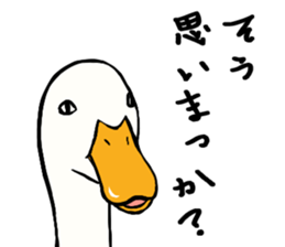 Mr. duck sticker part2 sticker #7352984