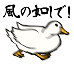 Mr. duck sticker part2 sticker #7353000