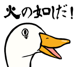 Mr. duck sticker part2 sticker #7353002