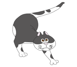 The  Stray Cats Carnival sticker #7354450