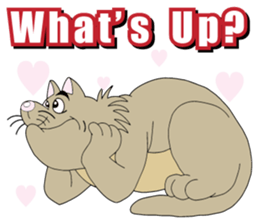 The  Stray Cats Carnival sticker #7354481