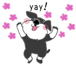 HAPPY puppy of Schnauzer.[English ver.] sticker #7360566