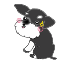 HAPPY puppy of Schnauzer.[English ver.] sticker #7360578