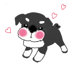 HAPPY puppy of Schnauzer.[English ver.] sticker #7360581