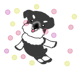 HAPPY puppy of Schnauzer.[English ver.] sticker #7360582