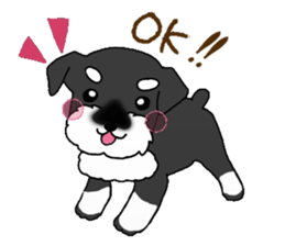 HAPPY puppy of Schnauzer.[English ver.] sticker #7360584