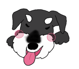 HAPPY puppy of Schnauzer.[English ver.] sticker #7360589