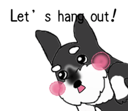 HAPPY puppy of Schnauzer.[English ver.] sticker #7360592