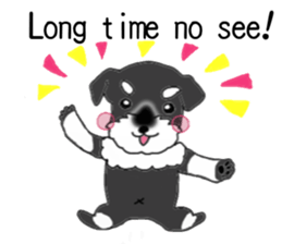 HAPPY puppy of Schnauzer.[English ver.] sticker #7360597