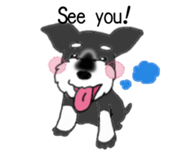 HAPPY puppy of Schnauzer.[English ver.] sticker #7360598