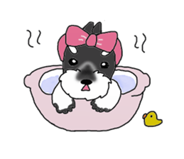 HAPPY puppy of Schnauzer.[English ver.] sticker #7360602