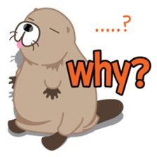 Vancouver Canada 4 sticker #7360926