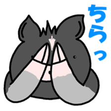 Miniature pig Maruo and friends 2nd sticker #7361417