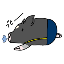 Miniature pig Maruo and friends 2nd sticker #7361436