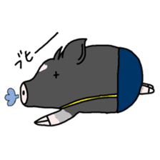 Miniature pig Maruo and friends 2nd sticker #7361436