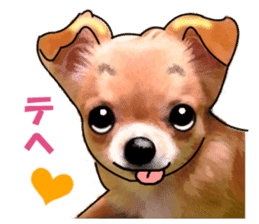 -Chihuahuas-Ver.3 sticker #7361484