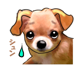 -Chihuahuas-Ver.3 sticker #7361485