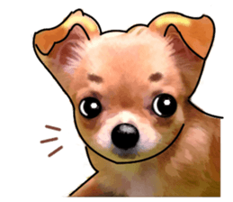 -Chihuahuas-Ver.3 sticker #7361486
