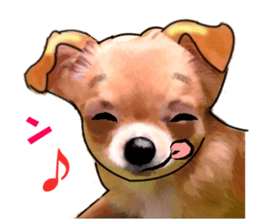 -Chihuahuas-Ver.3 sticker #7361487