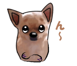 -Chihuahuas-Ver.3 sticker #7361489