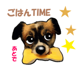 -Chihuahuas-Ver.3 sticker #7361491