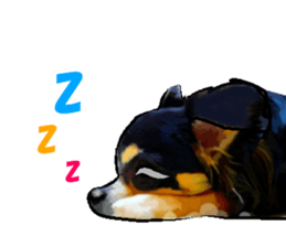 -Chihuahuas-Ver.3 sticker #7361495