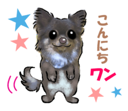 -Chihuahuas-Ver.3 sticker #7361497